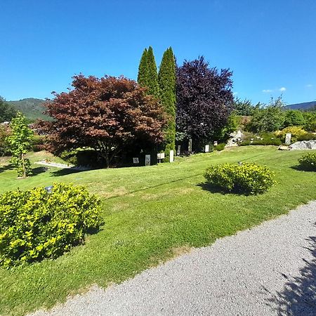 Chalet De Grettery Saulxures-sur-Moselotte المظهر الخارجي الصورة